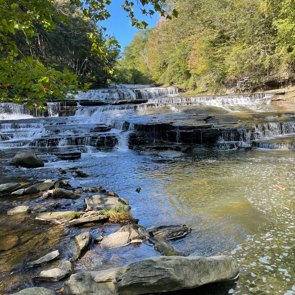 Meet your Posher, Nikki